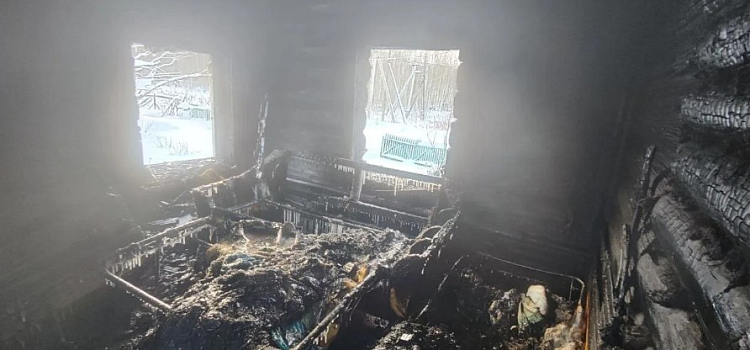 В Ярославской области при пожаре в частном доме погиб мужчина_310232