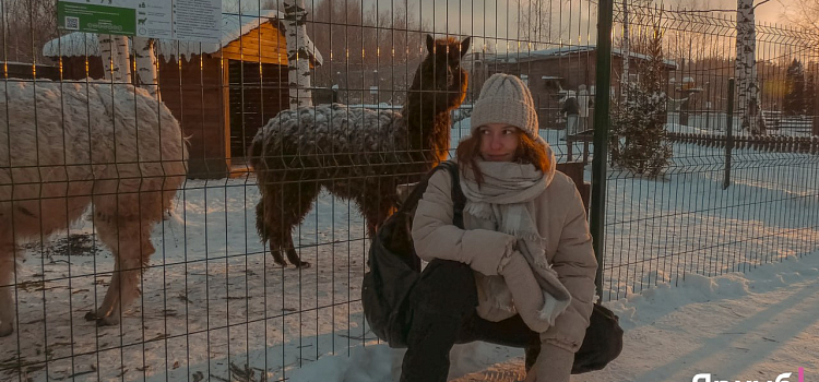 Ледяные забавы в Ярославском зоопарке: морозный фоторепортаж_310294
