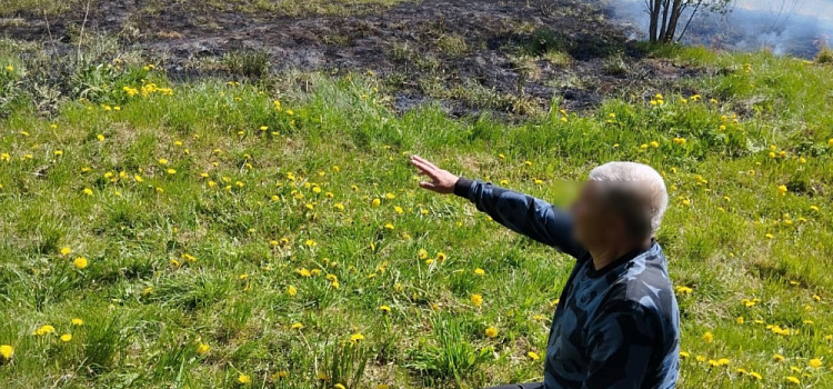Ярославские пожарные спасли мужчину, устроившего пал травы в Шалаве