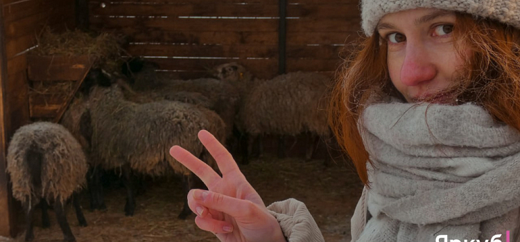 Ледяные забавы в Ярославском зоопарке: морозный фоторепортаж