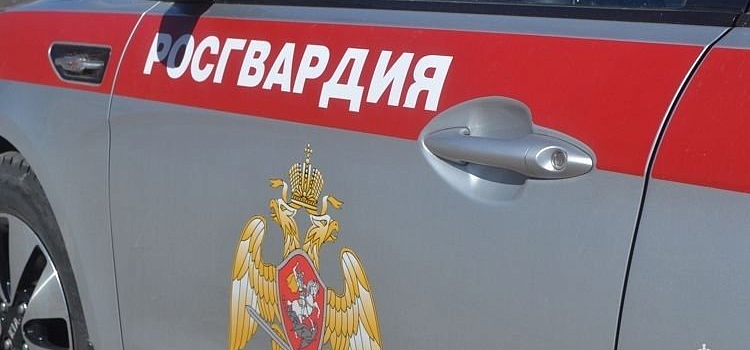 В Ярославле сотрудники Росгвардии спасли трехлетнего мальчика
