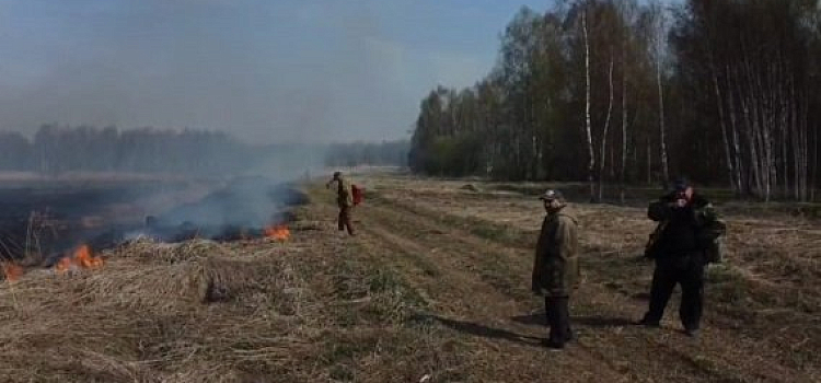 Спасатели ликвидировали возгорание в Переславском лесничестве