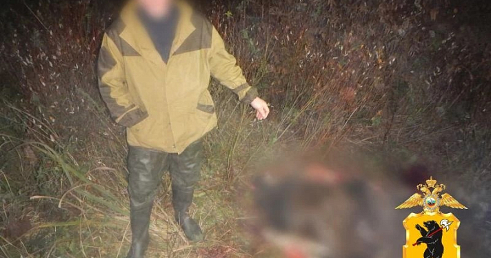 В Ярославской области задержали нелицензированного охотника