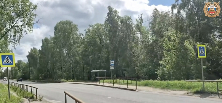 Три смертельных ДТП за два дня произошли в Ярославской области_316426