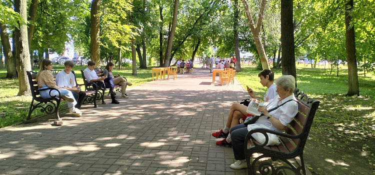В Бутусовском парке открылся фестиваль «Ярославское книжное обострение»_216114