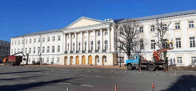 В Ярославле освобождают от деревьев Советскую площадь