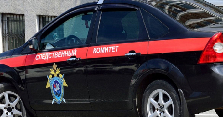 Бастрыкин поручил доложить о превышении полномочий полицейскими в Ярославской области