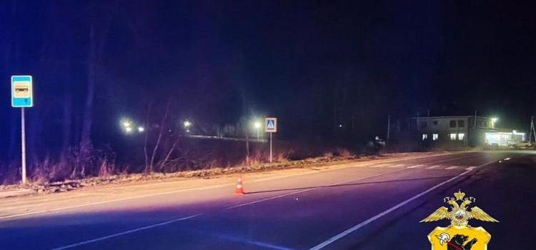 В Ярославской области за сутки в ДТП пострадали двое пешеходов