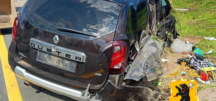 В Ярославской области в ДТП погибла женщина и пострадали трое детей_318707