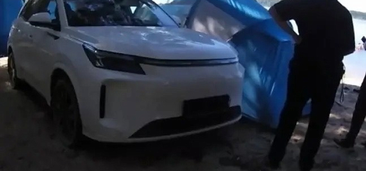 За костры и мусор в «Высоковском бору» в Ярославской области нарушителей привлекли к ответственности_320012