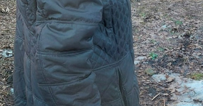 В Ярославле у бабушки, устроившей массовый выпил деревьев, полицейские отобрали пилу