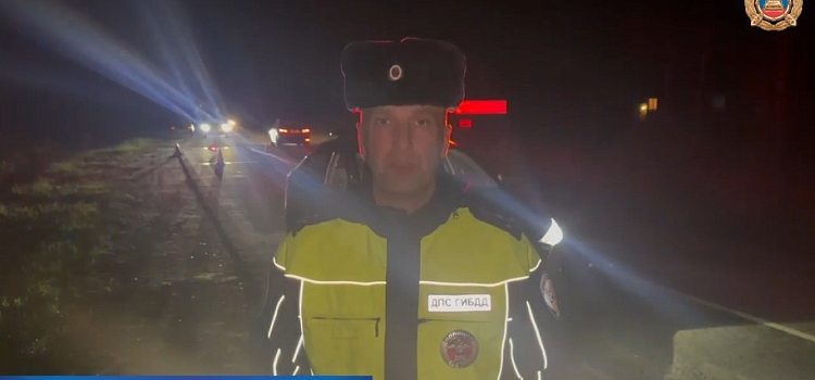 На трассе в Борисоглебском округе погибла женщина-пешеход