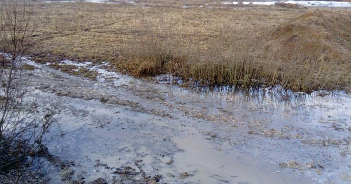 Охотник обнаружил скотомогильник в Даниловском районе