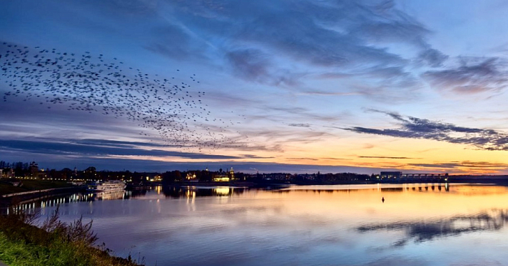 В исторических местах Угличского округа усилили мобильный интернет в четыре раза