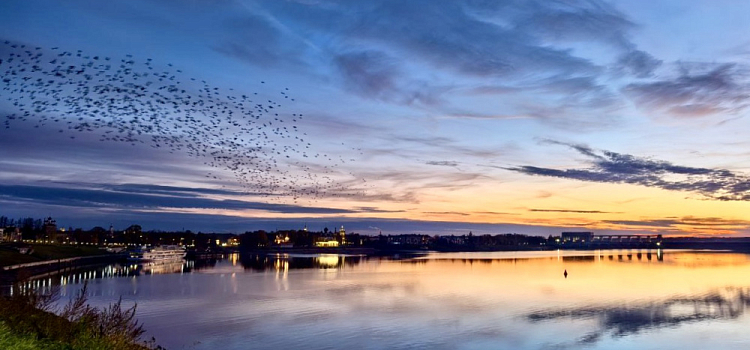 В исторических местах Угличского округа усилили мобильный интернет в четыре раза