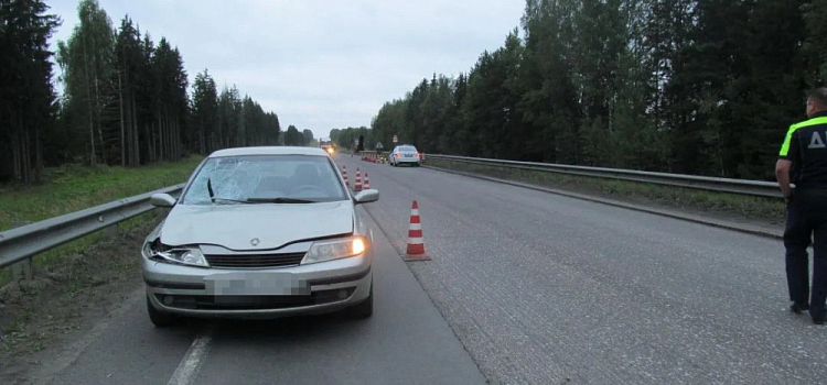 Ехал в состоянии наркотического опьянения: в Ярославской области вынесли приговор водителю, насмерть сбившему рабочего