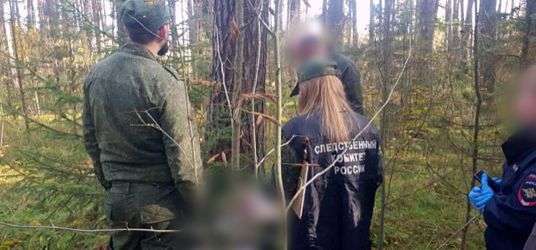 «Обрили волосы»: в Ярославской области задержали пару, которая причастна к убийству 21-летней девушки_324579