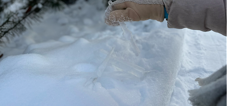 «Мы создаём то, чего там нет, из того, что там есть». Большой разговор о ленд-арте с сотрудницей ЯХМ_310493