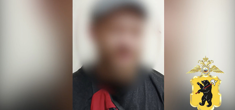 В Ярославской области задержали супружескую пару, раскладывавшую «закладки», пока их ребёнок спал в машине_319925
