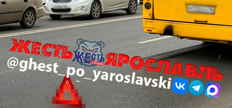 Личность устанавливается: в Ярославле автобус сбил девушку_319386