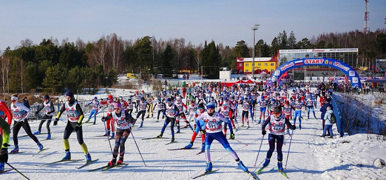 Все на лыжи! В Ярославской области стартует марафон в «Дёмино»