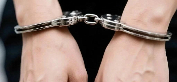 В Ярославле мужчина хотел застрелить жену из-за нагадившей на ковёр кошки