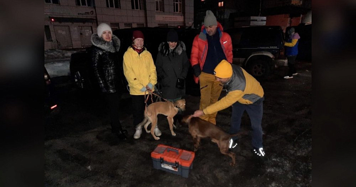Ярославские волонтеры рассказали о поисках 11-летнего мальчика