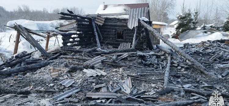 В деревне Ярославской области при пожаре пострадала пенсионерка