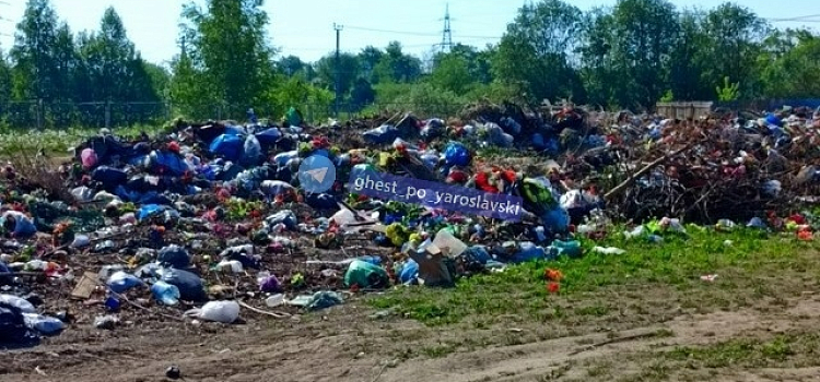 В мэрии Ярославля объяснили причину скопления мусора на Осташинском кладбище
