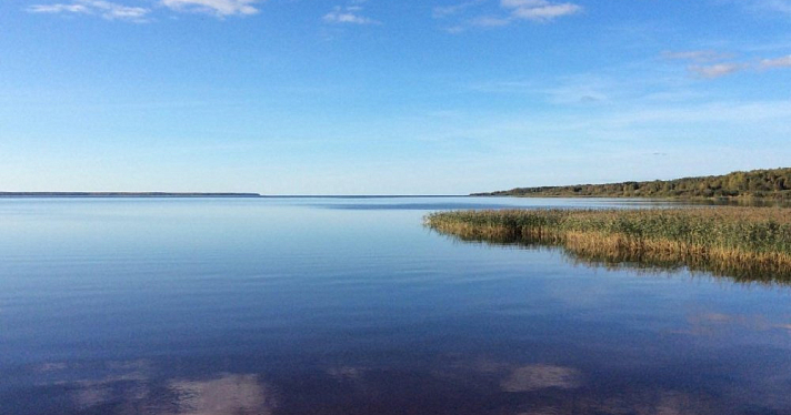 «Им все позволено». Почему на Рыбинском водохранилище нельзя строить ЦБК? Разбор