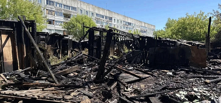 Поджог в Ярославле: сгорели 16 хозпостроек и лесной массив_317270
