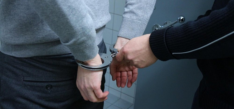 Ущерб более 51 миллиона: в ярославском УМВД прокомментировали задержание начальника подразделения