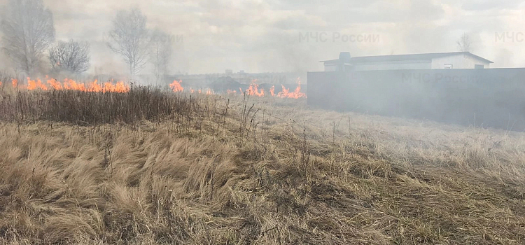 Горящая сухая трава в поле едва не уничтожила дома в дачном поселке под Ярославлем_237257