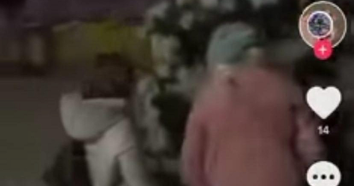Ярославские школьницы ограбили городскую елку и сняли все на видео