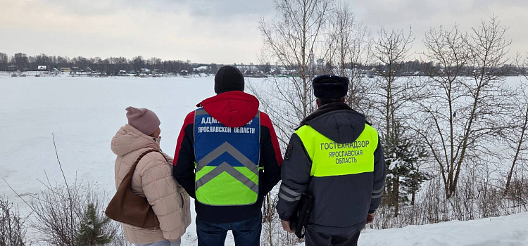 «Седой паромщик»: в Павловской роще задержали мужчину, незаконно катавшего ярославцев по льду Волги_309390