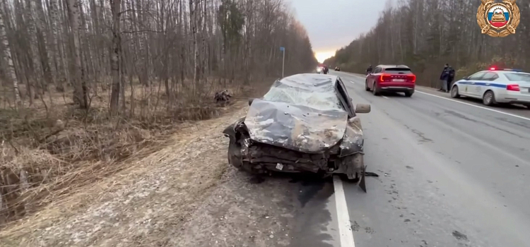 В Ярославской области погибли двое мужчин, катавшихся на квадроцикле_314658
