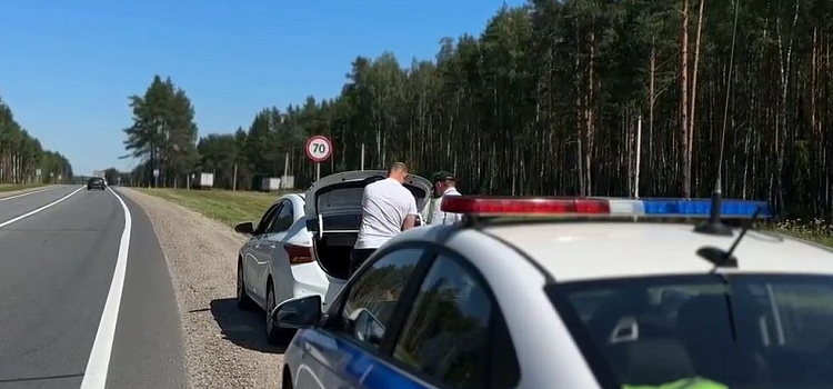 В ГИБДД предупредили о рейдах в выходные в Ярославской области