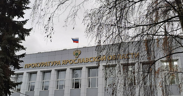 В Ярославской области возбудили дело после взятки сотруднику «Рослесинфорга»