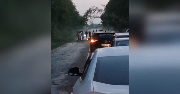 В Ярославской области из-за сильного ветра деревья рухнули прямо на дорогу