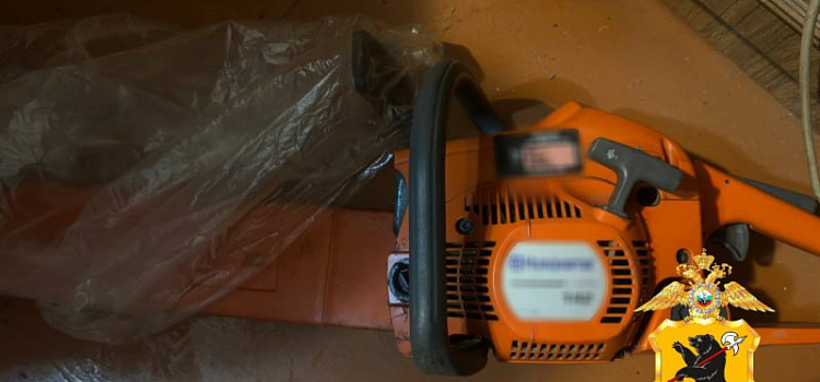 В Ярославской области задержали воришку икон и инструментов_309780