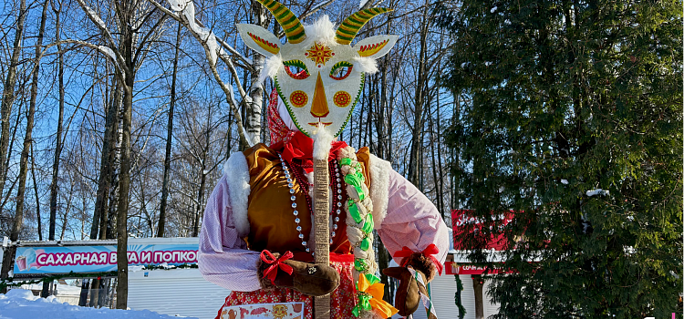 Душа отмерзает и начинает расцветать: в Ярославле открылась выставка масленичных кукол_311484