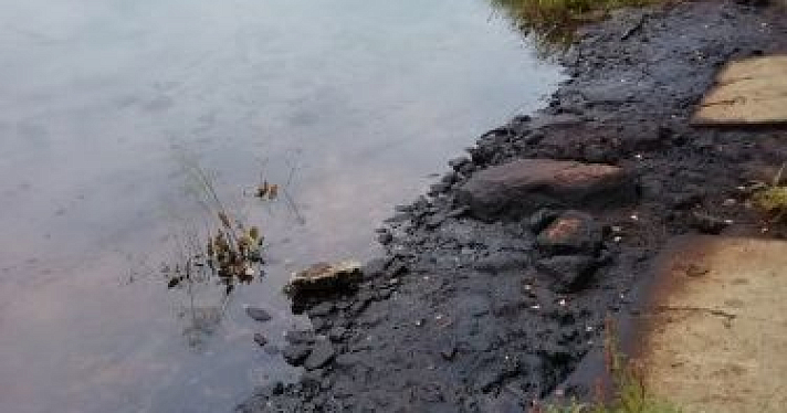 В Ярославской области нашли новые нефтяные разливы