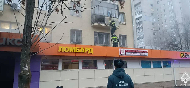 В Ярославле горел магазин_308038