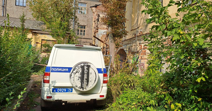 Ударил полицейского: жителя Ярославской области задержали за сопротивление при задержании