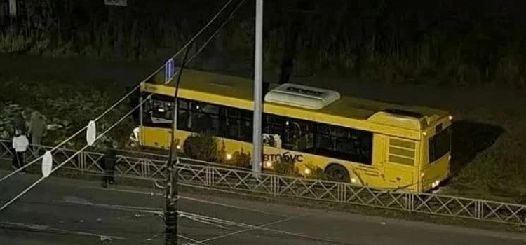В Ярославле водитель автобуса, спасая животное, вылетел с дороги_324993