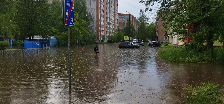 Половина месячной нормы за несколько часов: десять кадров первой июньской грозы в Ярославле