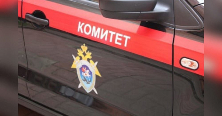 В Ярославской области четырехлетнюю девочку насмерть придавило спиленным деревом