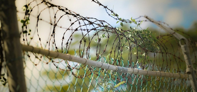 Подозревают в получении взятки: в Ярославской области арестован директор госучреждения