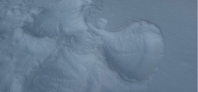 «Мы создаём то, чего там нет, из того, что там есть». Большой разговор о ленд-арте с сотрудницей ЯХМ_310494