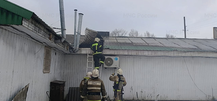В Гаврилов-Яме при пожаре в магазине автозапчастей погиб мужчина_288774